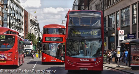 London buses Angela Parket Photography